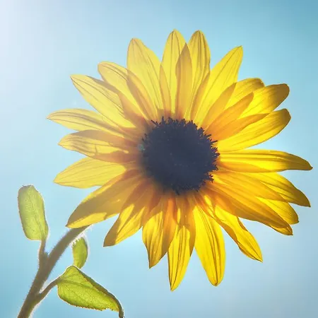 Apartmán Alpenapart Marina Nauders