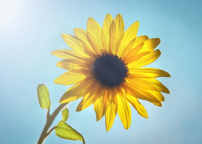 شقة Alpenapart Marina ناودرس