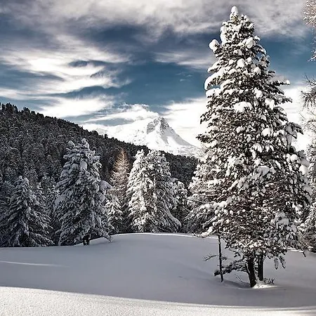 Alpenapart Marina Apartman *